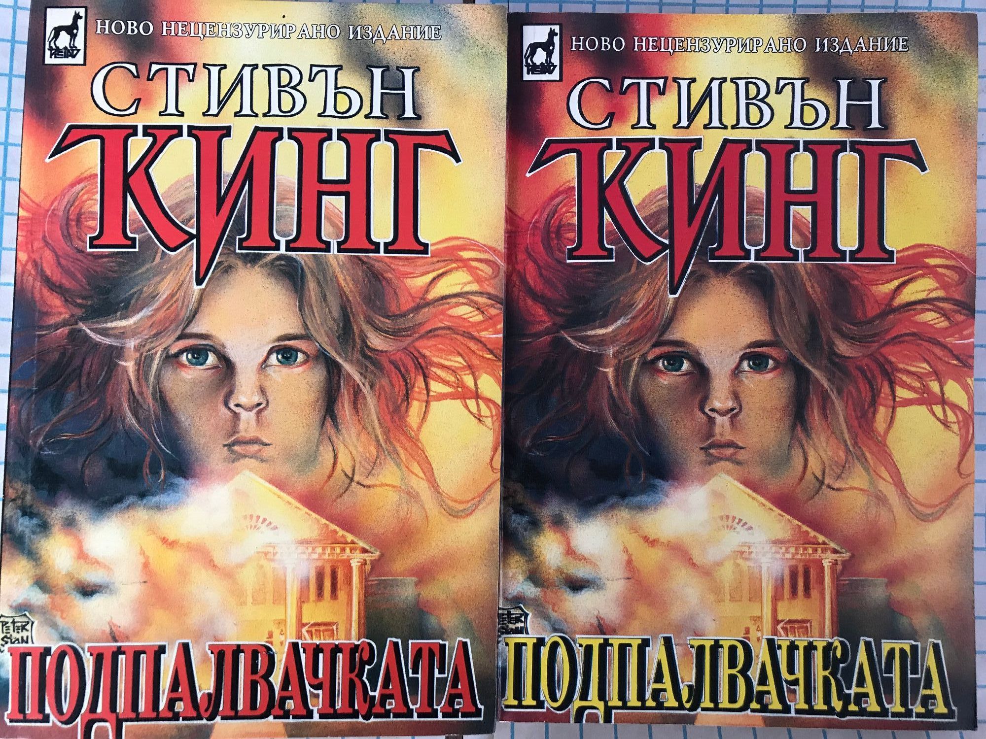 Подпалвачката книга 1 и 2 | Ортограф - антикварна книжарница