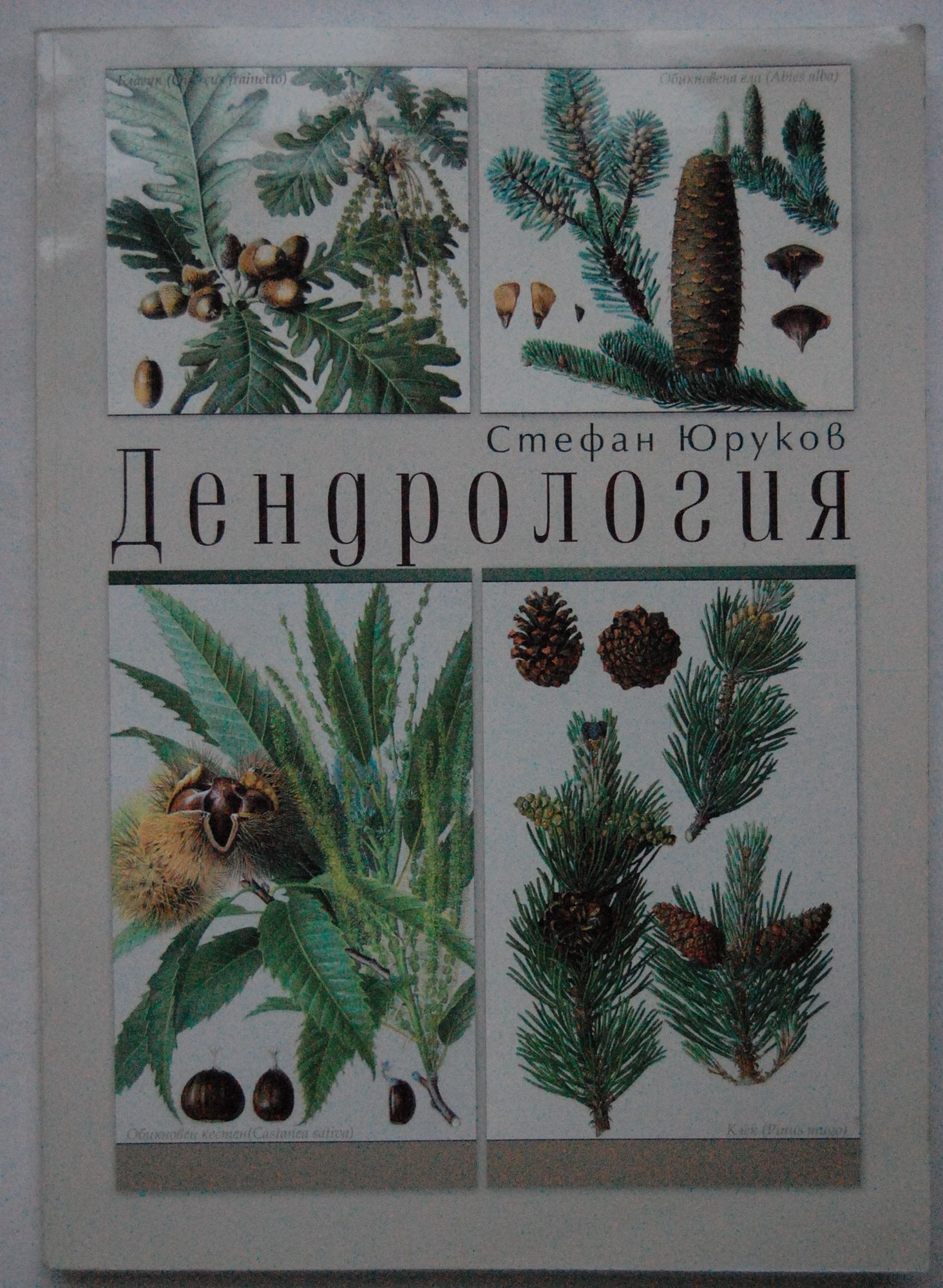 Дендрология | Ортограф - антикварна книжарница