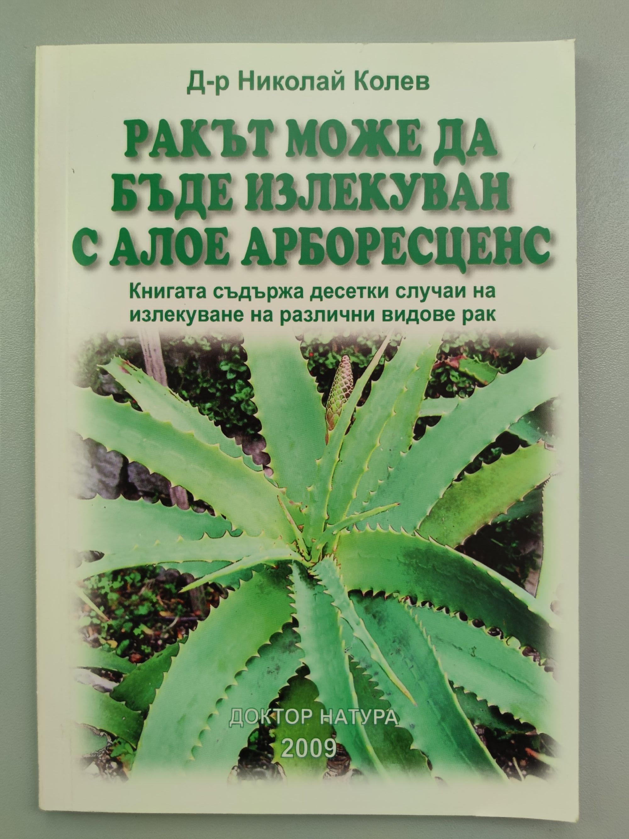 Ракът може да бъде излекуван с алое арборесценс | Ортограф - антикварна ...
