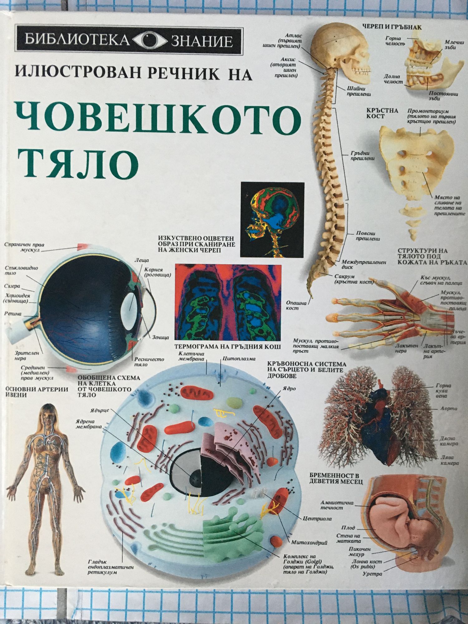 Илюстрован речник на човешкото тяло | Ортограф - антикварна книжарница