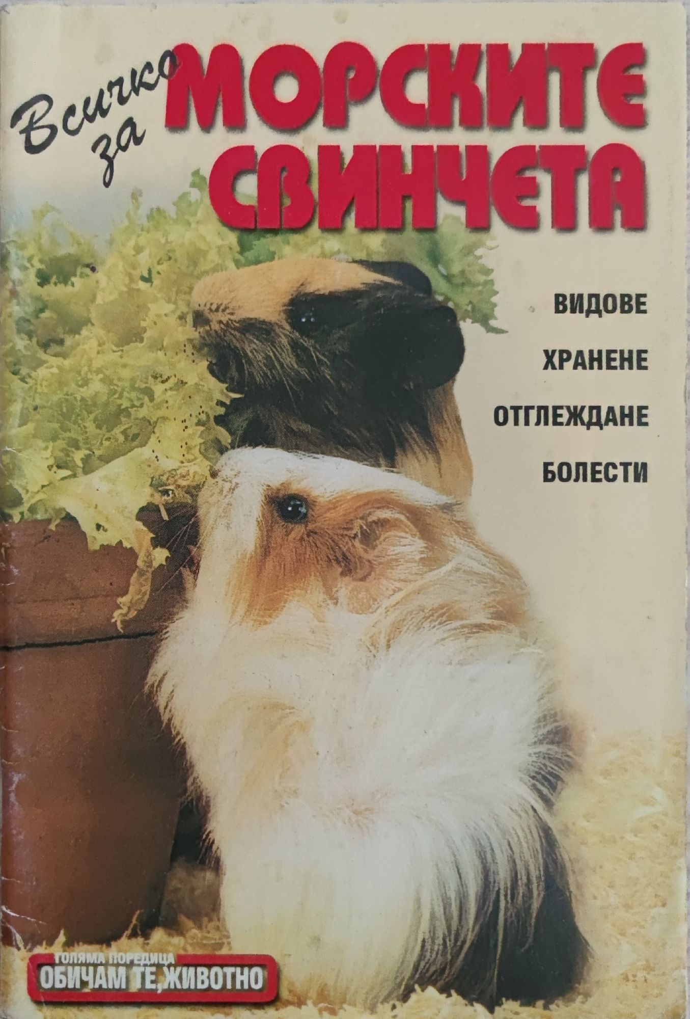 Всичко за морските свинчета | Ортограф - антикварна книжарница