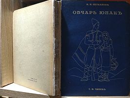 cover image